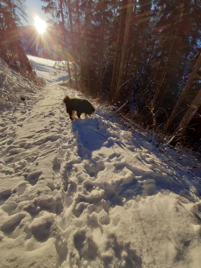 Hoamalm Lejlighed Grossarl Eksteriør billede